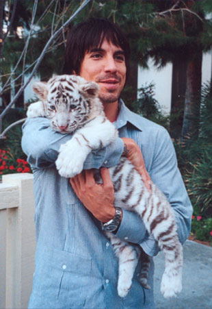 kiedis et son tigre !!!!!!!!!!!!