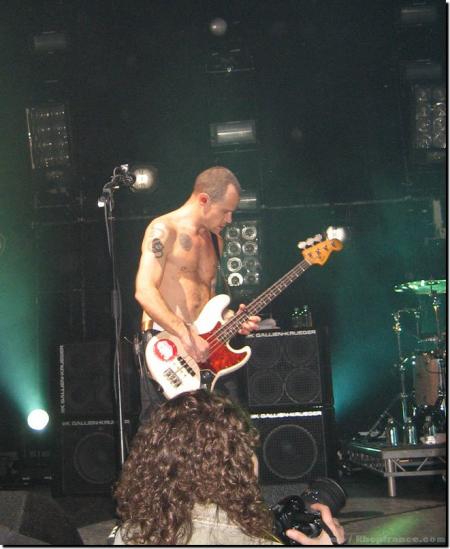 concert cigale